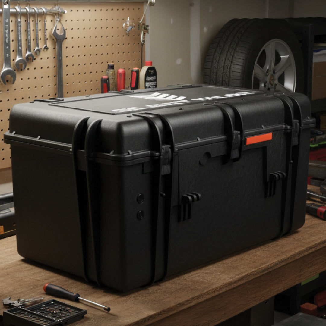 Sentinel Vault preservation storage